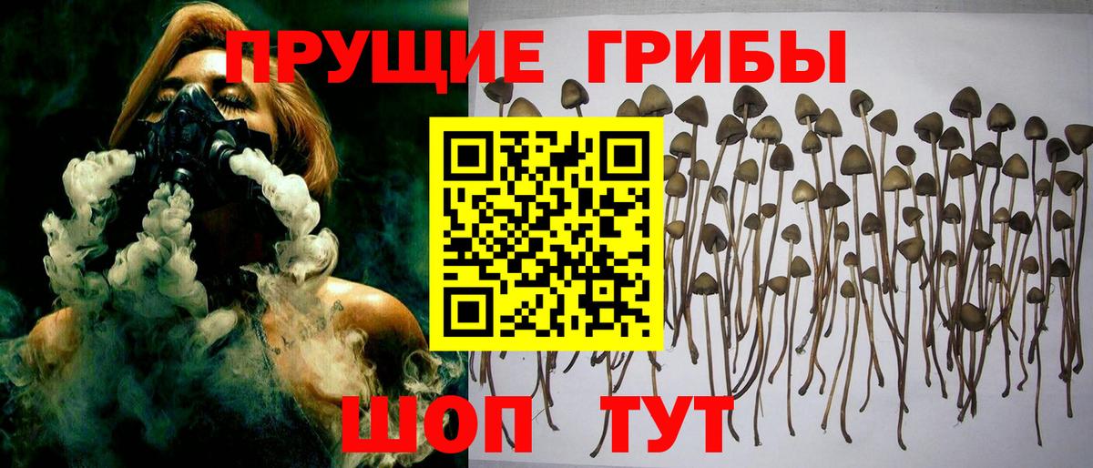 Галлюциногенные грибы ЛСД Чита