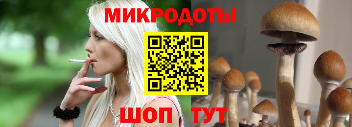 Псилоцибиновые грибы прущие грибы  Вход с VPN  Чита 